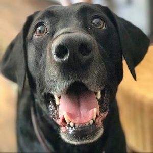 Meet your Posher, Doris